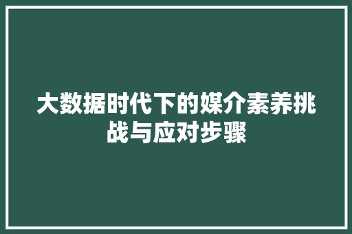 大数据时代下的媒介素养挑战与应对步骤