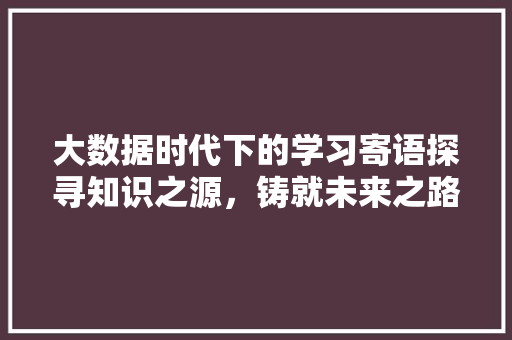 大数据时代下的学习寄语探寻知识之源，铸就未来之路