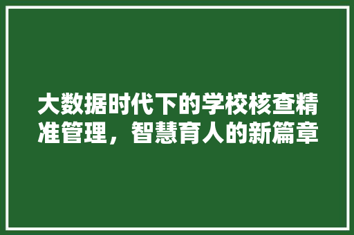 大数据时代下的学校核查精准管理，智慧育人的新篇章  第1张