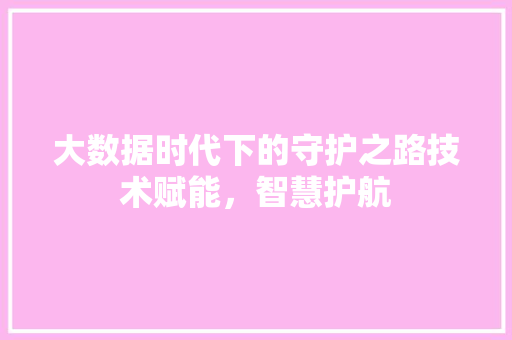 大数据时代下的守护之路技术赋能，智慧护航  第1张