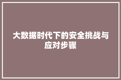 大数据时代下的安全挑战与应对步骤  第1张
