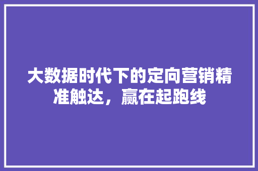 大数据时代下的定向营销精准触达，赢在起跑线