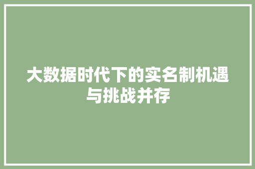大数据时代下的实名制机遇与挑战并存
