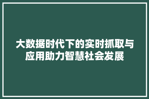 大数据时代下的实时抓取与应用助力智慧社会发展  第1张