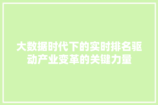 大数据时代下的实时排名驱动产业变革的关键力量  第1张