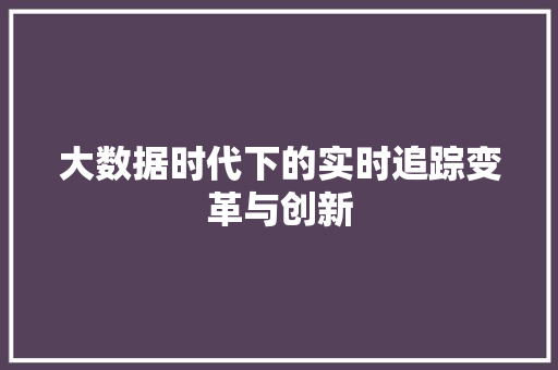 大数据时代下的实时追踪变革与创新  第1张