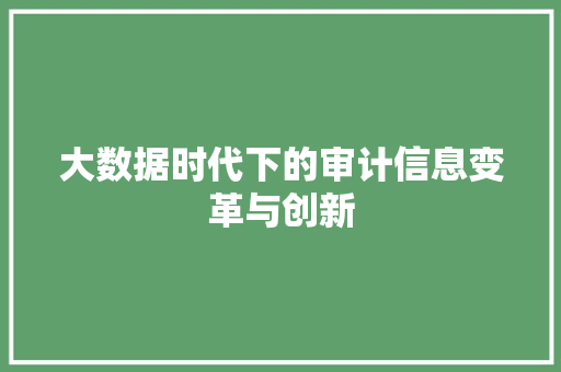 大数据时代下的审计信息变革与创新  第1张