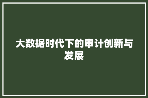 大数据时代下的审计创新与发展  第1张