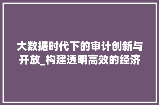 大数据时代下的审计创新与开放_构建透明高效的经济监督体系  第1张