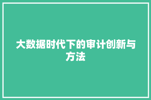 大数据时代下的审计创新与方法  第1张