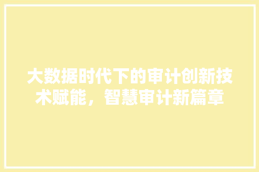 大数据时代下的审计创新技术赋能，智慧审计新篇章  第1张