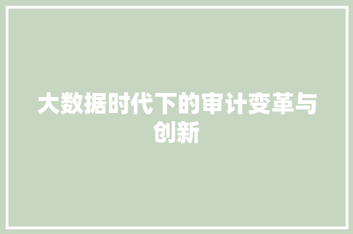 大数据时代下的审计变革与创新  第1张