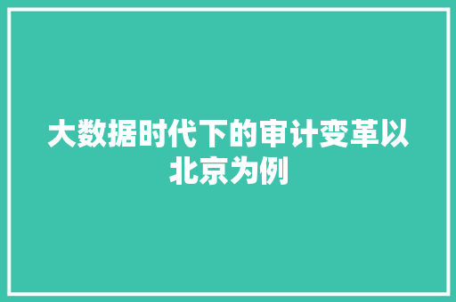 大数据时代下的审计变革以北京为例  第1张