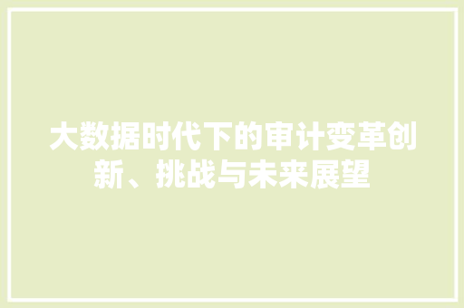 大数据时代下的审计变革创新、挑战与未来展望  第1张