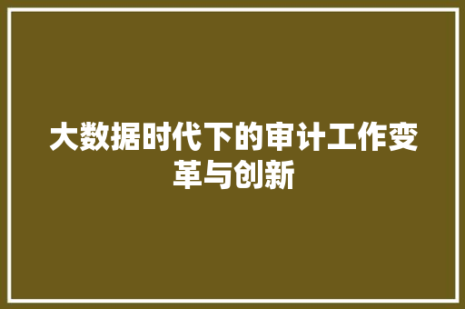 大数据时代下的审计工作变革与创新