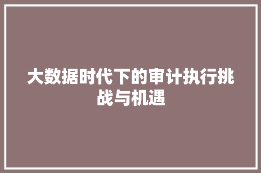 大数据时代下的审计执行挑战与机遇  第1张