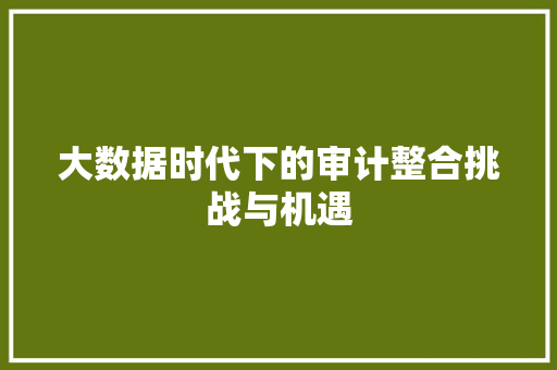 大数据时代下的审计整合挑战与机遇  第1张