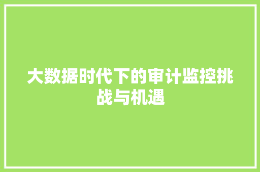 大数据时代下的审计监控挑战与机遇  第1张