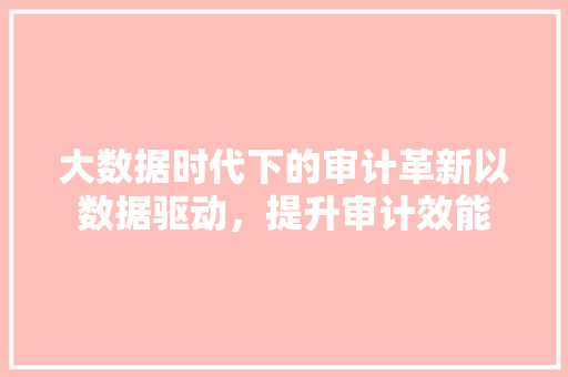 大数据时代下的审计革新以数据驱动，提升审计效能  第1张