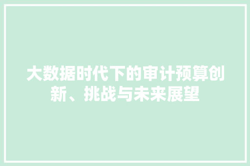 大数据时代下的审计预算创新、挑战与未来展望