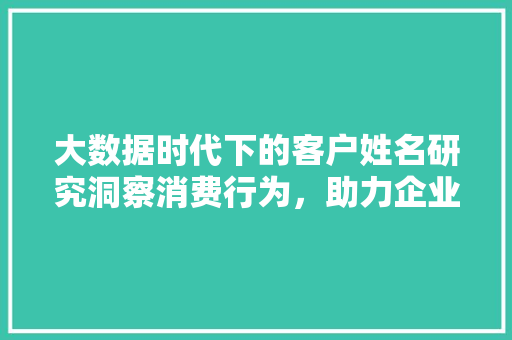 大数据时代下的客户姓名研究洞察消费行为，助力企业发展  第1张