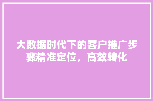 大数据时代下的客户推广步骤精准定位，高效转化  第1张