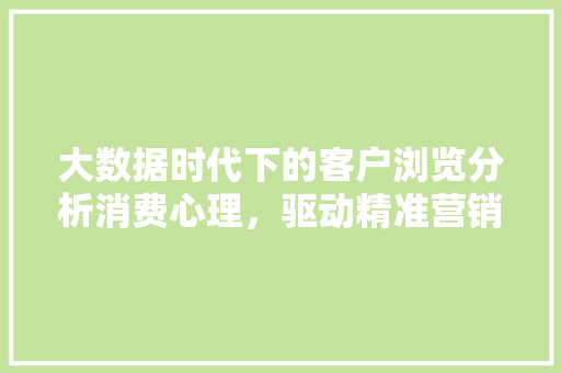 大数据时代下的客户浏览分析消费心理，驱动精准营销