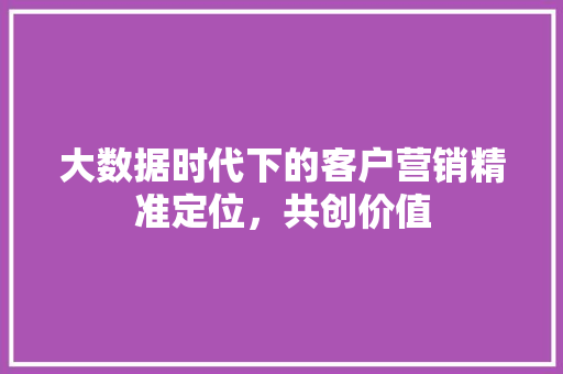 大数据时代下的客户营销精准定位，共创价值