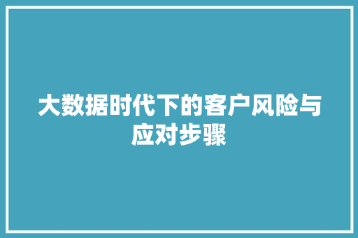大数据时代下的客户风险与应对步骤  第1张