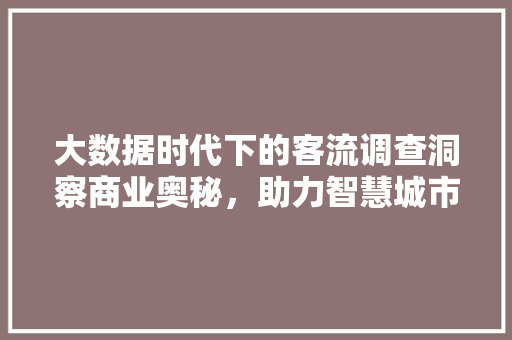 大数据时代下的客流调查洞察商业奥秘，助力智慧城市发展  第1张