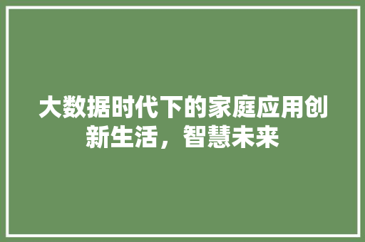 大数据时代下的家庭应用创新生活，智慧未来  第1张