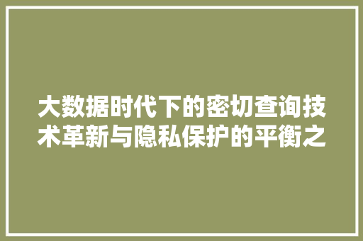 大数据时代下的密切查询技术革新与隐私保护的平衡之路
