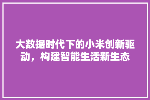 大数据时代下的小米创新驱动，构建智能生活新生态  第1张