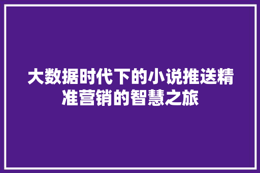 大数据时代下的小说推送精准营销的智慧之旅  第1张