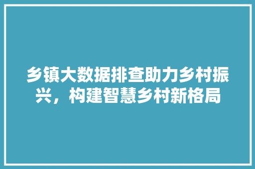 乡镇大数据排查助力乡村振兴，构建智慧乡村新格局  第1张