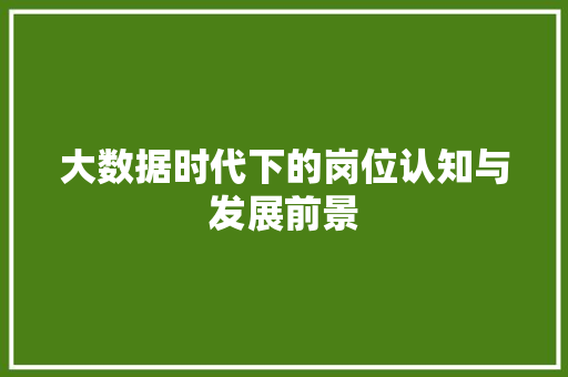 大数据时代下的岗位认知与发展前景  第1张