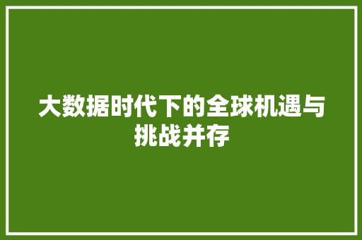 大数据时代下的全球机遇与挑战并存  第1张