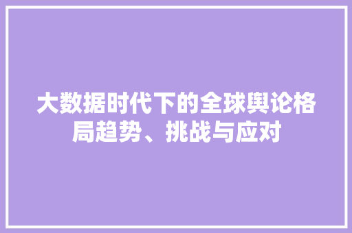 大数据时代下的全球舆论格局趋势、挑战与应对  第1张