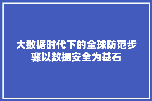 大数据时代下的全球防范步骤以数据安全为基石  第1张