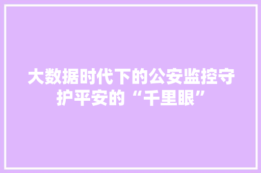 大数据时代下的公安监控守护平安的“千里眼”  第1张