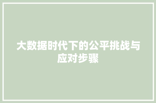 大数据时代下的公平挑战与应对步骤  第1张