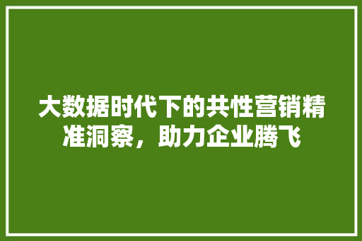 大数据时代下的共性营销精准洞察，助力企业腾飞  第1张