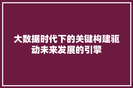 大数据时代下的关键构建驱动未来发展的引擎  第1张