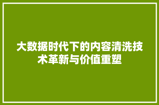 大数据时代下的内容清洗技术革新与价值重塑  第1张
