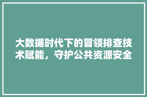 大数据时代下的冒领排查技术赋能，守护公共资源安全