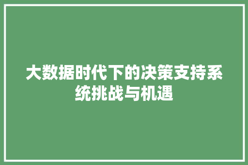 大数据时代下的决策支持系统挑战与机遇  第1张