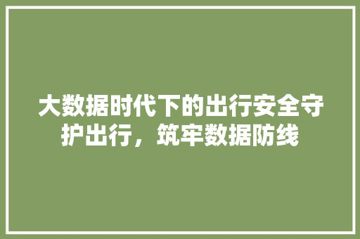 大数据时代下的出行安全守护出行，筑牢数据防线
