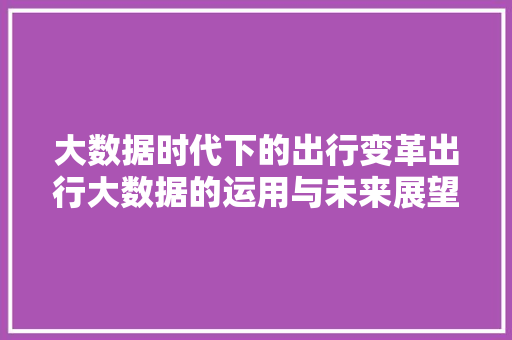 大数据时代下的出行变革出行大数据的运用与未来展望