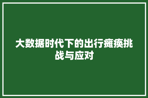 大数据时代下的出行瘫痪挑战与应对  第1张