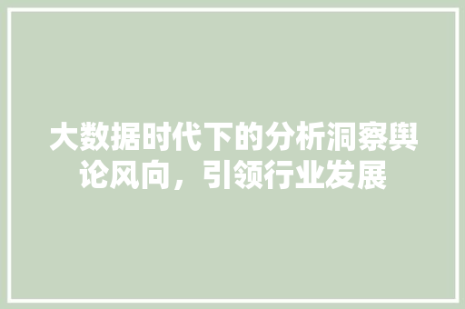 大数据时代下的分析洞察舆论风向，引领行业发展  第1张